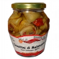 Involtini di Melanzane ripieni con Pomodori Secchi acciuga olive